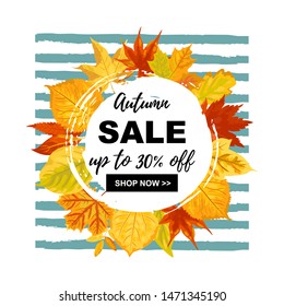 Autumn sale banner with falling leaves. Place for text. Template for fall festival, poster, web, invitation, flyer, thanksgiving. Vector illustration. Flat style design.