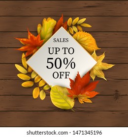 Autumn sale banner with falling leaves on dark wood background. Place for text. Template for fall festival, poster, web, invitation, flyer, Happy Thanksgiving. Vector illustration.