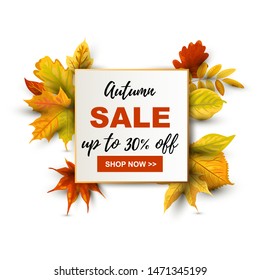 Autumn sale banner with falling leaves. Place for text. Template for fall festival, poster, web, invitation, flyer, Happy Thanksgiving, seasonal sale. Vector illustration isolated on white background.