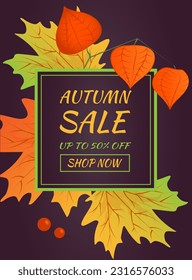Autumn sale banner. Hello autumn. Autumn maple leaves with branch of physalis on dark background.