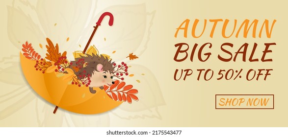 Autumn sale banner. Hello autumn. Umbrella with autumn leaves and hedgehog (urchin) on beige background.