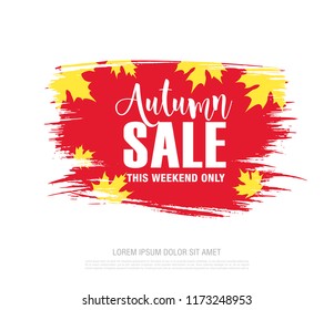autumn sale banner layout design, vector illustration