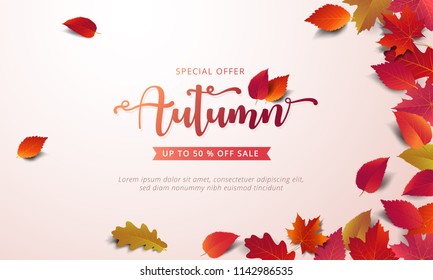 Autumn sale banner layout template decorate with maple and realistic leaves in warm color tone for shopping sale or promotion poster, leaflet and web banner. Vector illustration .