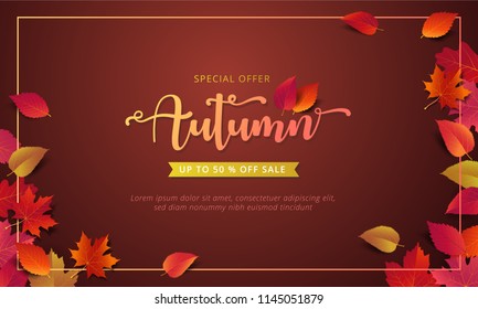 Autumn sale banner layout template decorate with maple and realistic leaves in warm color tone for shopping sale or promotion poster, leaflet and web banner. Vector illustration .