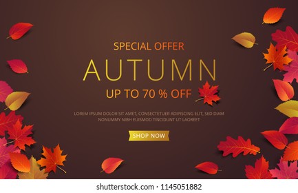 Autumn sale banner layout template decorate with maple and realistic leaves in warm color tone for shopping sale or promotion poster, leaflet and web banner. Vector illustration .