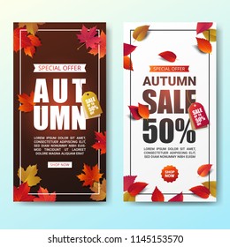 Autumn sale banner layout template modern design decorate with maple and realistic leaves for shopping sale or promotion poster, leaflet and web banner. Vector illustration.