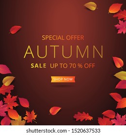 Autumn sale banner layout template decorate with maple and realistic leaves in warm color tone for shopping sale or promotion poster, leaflet and web banner. Vector illustration.