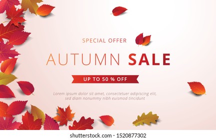 Autumn sale banner layout template decorate with maple and realistic leaves in warm color tone for shopping sale or promotion poster, leaflet and web banner. Vector illustration .