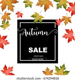 Autumn sale banner with leaf design