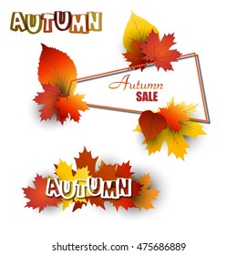 Autumn sale banner with leaves, background