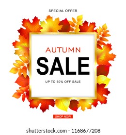Autumn sale banner with leaves for shopping sale or promo poster and web banner.Vector illustration.