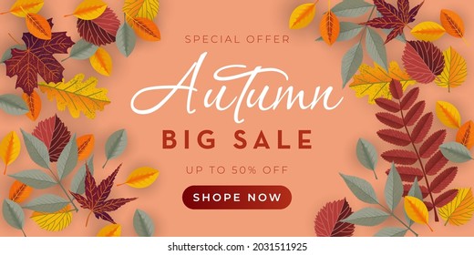 Autumn sale banner with leaves. Vector template for sale banner, promo poster, flyer, invitation, website, greeting card, voucher, etc