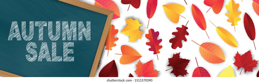 Autumn sale banner or long header for advertisement, promo, offer, announcement. Chalk scribble typography text on a chalkboard withwooden frame. Red and orange leaves on white background.