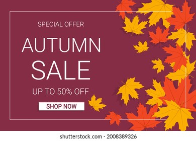 Autumn sale banner with maple leaves and frame. Fall background. Best for shopping sale, promo poster or  web banner. Vector illustration