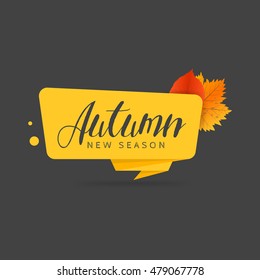 Autumn sale banner. Origami style paper design. Vector