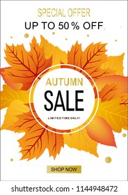 Autumn sale banner original design