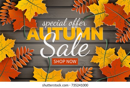 Autumn sale banner, paper colorful tree leaf (maple, rowan leaves) on wood texture background. Autumnal design for fall season banner, poster, web site, paper cut out art style, vector illustration