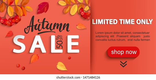 Autumn sale banner with place for text, limited time discounts. Fall leaves, rowan berries for seasonal shopping promotion, web, flyers. Template for cards, advertise. Vector illustration.