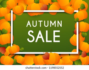 Autumn Sale Banner with pumpkins and leafs, Poster, Flyer. Vector illustration.