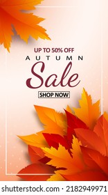 Autumn sale banner with realistic yellow, red, orange leaves and frame. Advertising discount text decoration. Vector illustration