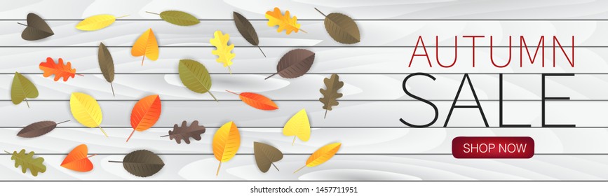 Autumn sale banner with red, orange, brown, and green leaves on white wwoden board. Fall design vector illustration.