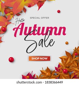 Autumn sale Banner for shopping sale