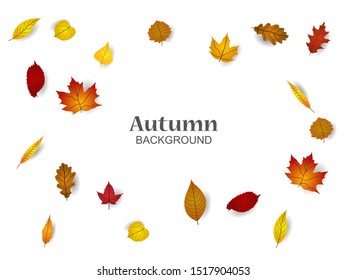 Autumn sale banner template. Autumn background design vector illustration