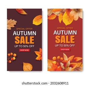 Autumn sale banner template background. Autumn shopping sale with leaves and text.
