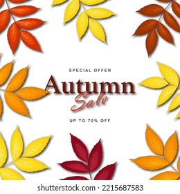 Autumn sale banner template decorate with ash-tree leaves in warm color tone for shopping sale or promotion poster and web banner. Vector illustration.