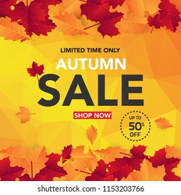 Autumn sale banner template with leaves, fall leaves for shopping sale. banner design. Poster, card, label, web banner. Vector illustration