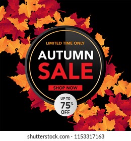 Autumn sale banner template with leaves, fall leaves for shopping sale. banner design. Poster, card, label, web banner. Vector illustration