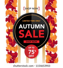 Autumn sale banner template with leaves, fall leaves for shopping sale. banner design. Poster, card, label, web banner. Vector illustration