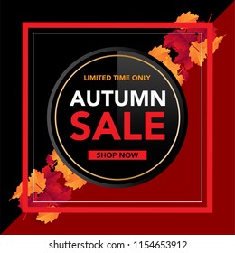 Autumn sale banner template with leaves, fall leaves for shopping sale. banner design. Poster, card, label, web banner. Vector illustration