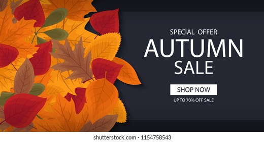 Autumn sale banner template with lettering. Background layout decorate with red, yellow and brown leaves for shop. Modern realistic design. Beautiful wallpaper. Flat style vector illustration.