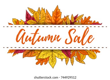 Autumn sale banner template with yellow leaves. Design elements for poster, emblem, banner. Vector illustration