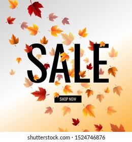 Autumn Sale Banner With Text With Gradient Mesh, Vector Illustration
