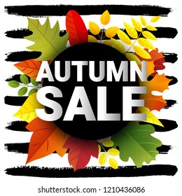 AUTUMN SALE banner typography design. Retro fall letters with flat style autumn leaves and hand drawn brush stroke. Creative lettering for seasonal sales. Vector illustration