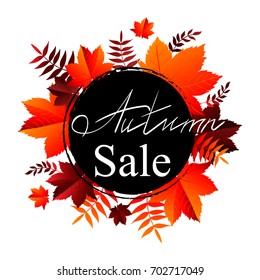 Autumn sale  banner. Vector discount offer with autumnal foliage on white background.