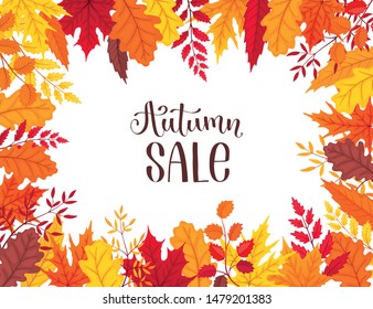 Autumn sale banner vector illustration. Bright autumn leaves frame isolated on white background. 