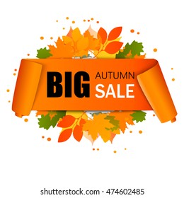 Autumn sale banner vector illustration. Colorful leaves with paper scroll banner