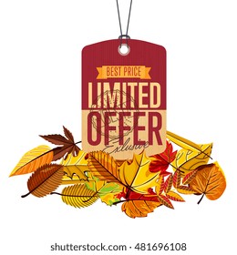Autumn sale banner, vector illustration. 