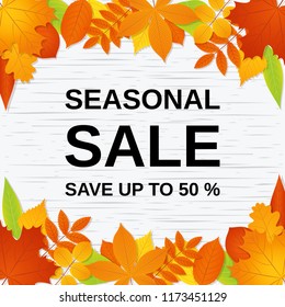 Autumn sale banner. Vector. Seasonal poster template with fall leaves. Flyer, card, label, web design. Bright background. Illustration with colorful leaf.