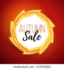 Autumn sale banner with yellow ripe spikelets, clearance template, round composition with wheat. Seasonal fall design, colorful vector illustration for social media, shop, web, mobile, poster, promo