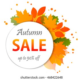 Autumn sale banners isolated on white background. Colorful leaves. Save up to 50%. Vector illustration
