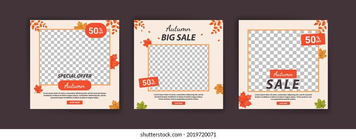 Autumn sale. Autumn big sale. Autumn mega sale. Banner vector for social media ads, web ads, business messages, discount flyers and big sale banners.