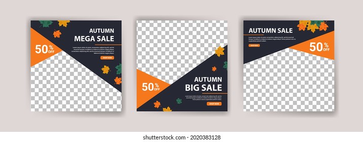 Autumn sale. Autumn big sale. Autumn mega sale. Banner vector for social media ads, web ads, business messages, discount flyers and big sale banners.