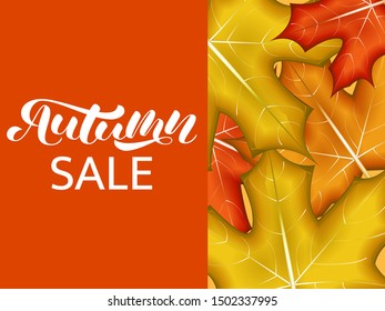 Autumn Sale brush lettering. Vector illustration