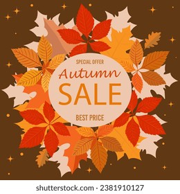 Autumn sale card design. Autumn fall concept with leaves. Quote - sale best price Seasonal poster concept. Typography design. Season Stock vector illustration.