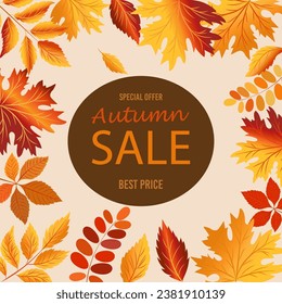 Autumn sale card design. Autumn fall concept with leaves. Quote - sale best price Seasonal poster concept. Typography cute design. Stock vector illustration on light background.