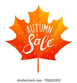 Autumn sale concept with color maple leaf